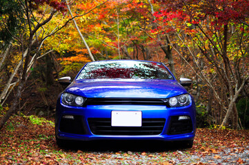 秋の日のドライブ