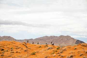 Fototapeta na wymiar group of hikers hiking over the ridge of a sand dune in namibia