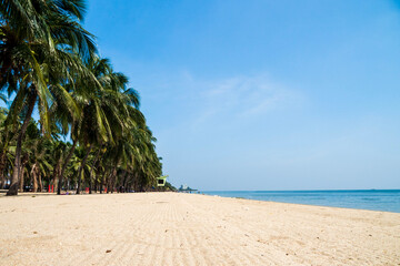 Landscape summer panorama front view tropical palm and coconut trees sea beach blue white sand sky...