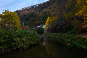 Fototapeta na wymiar River and Autumn Leaves