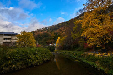 River and Autumn Leaves