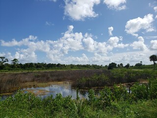 Black Point Wildlife Drive, Merritt Island National Wildlife Refuge, Florida
