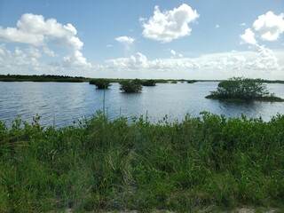 Black Point Wildlife Drive, Merritt Island National Wildlife Refuge, Florida