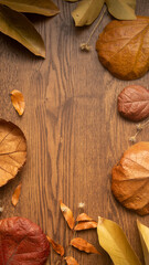 Autumn, dry leaves frame on brown rustic wood