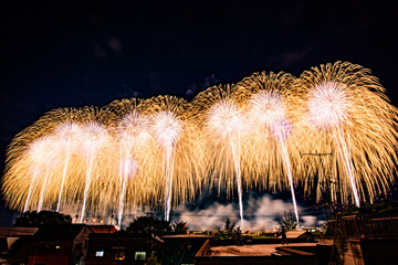 長岡大花火大会2022年-復興祈願花火フェニックス