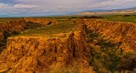 Carrizo Plains National Monument