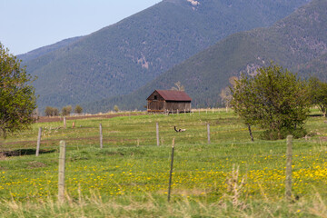 Fototapeta premium Old structure in field