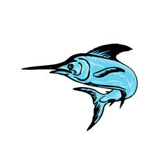 Blue Marlin Fish Jumping Drawing