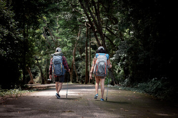 trekker tourist backpack ,hat with trekking stick . they show hold hand help adventure trekking at beautiful national park waterfall in summer vacation is eco tourism concept