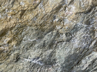 Background of natural natural stone. Structure with white veins.
