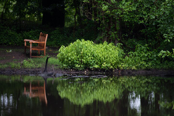 bench in the park