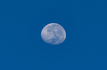 Naklejka na ściany i meble Full moon against blue sky background