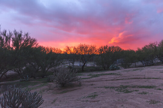 Colorful Arizona desert sunset