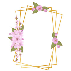 Pink flowers watercolor cherry blossom illustration.