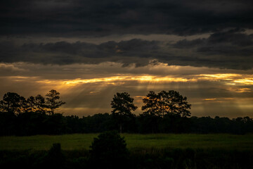 Fototapeta na wymiar Dramatic clouds stifle the early morning shunshine as the remaining rays of light pierce through to the fields. Raleigh, North Carolina.