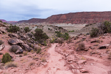 Red rock canyon