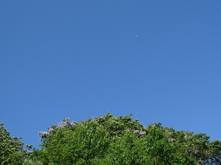 青空と里山