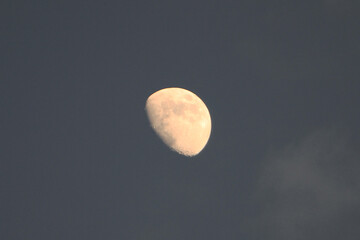 a Moon is an astronomical body that orbits planet Earth