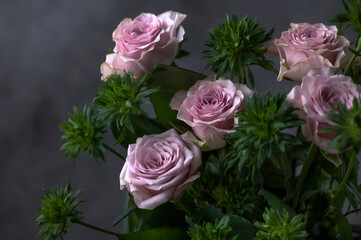 ピンクとグリーンのバラの花　黒背景