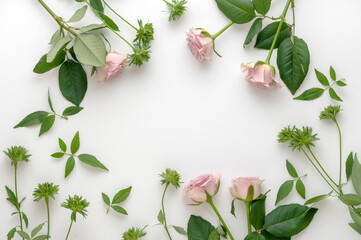 ピンクとグリーンのバラの花　背景素材