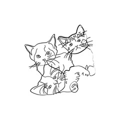 Cat animal sketch art