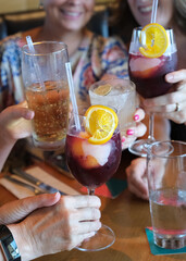 Female friends enjoying alcoholic beverages at restaurant. 