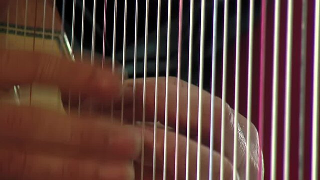 A Man Playing Harp. Close Up.  