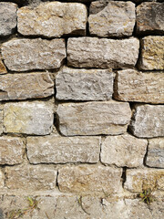 Wall Photos for Portrait Backgrounds or Grungy Graphic Design Elements