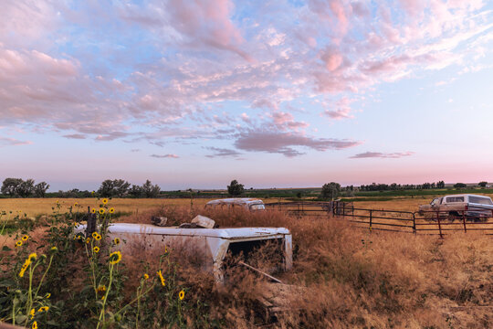 Old cars on farmland with sunflowers and cloudy sky