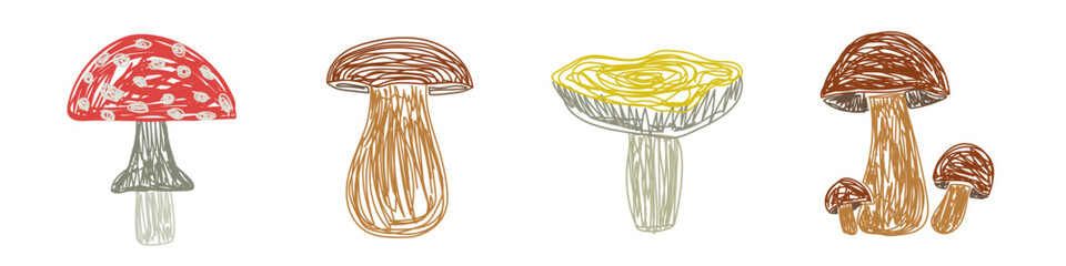 Mushrooms set. Hand drawn vector illustration. Pen or marker doodle sketch