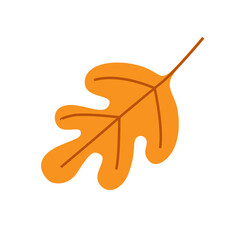 Autumn pine cones and maple leaves