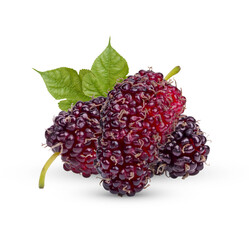 Fresh mulberry with leaves isolated on transparent background (.PNG)