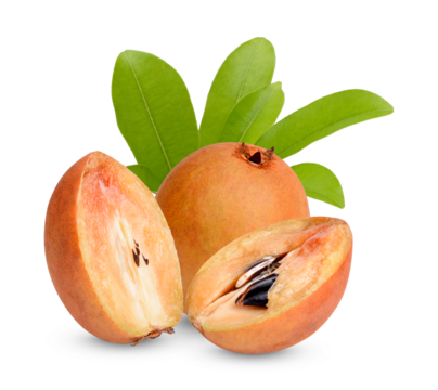 Fresh sapodilla with leaves isolated on transparent background (.PNG)