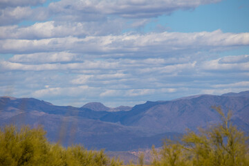 Arizona desert landscape with cloudy sky and yellow trees