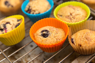 Freshly baked blueberry muffins