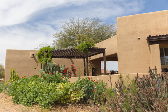 Garden in front of Southwest style stucco house
