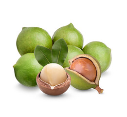 Macadamia nuts with leaves isolated on transparent background (.PNG)