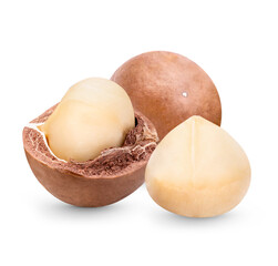 Macadamia nuts isolated on transparent background (.PNG)