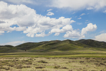 Green high desert field with mountain and cloudy blue sky
