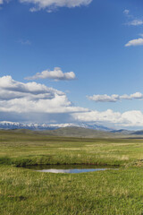 Fototapeta na wymiar Pond in green field with snowy mountains, and blue sky and clouds