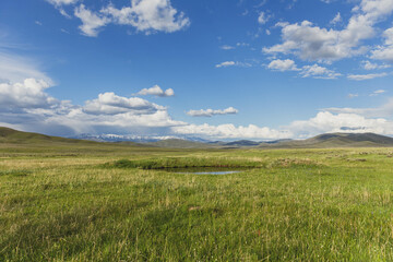 Fototapeta na wymiar Pond surrounded by grass field with partly cloudy blue sky