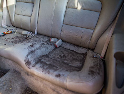 Dirt filled back seat of vehicle