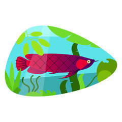Exotic Arowana Fish cartoon Flat illustration