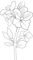 Black and white outline drawing vector coloring book & page for adults and children flowers Azalea with leaves ink illustration