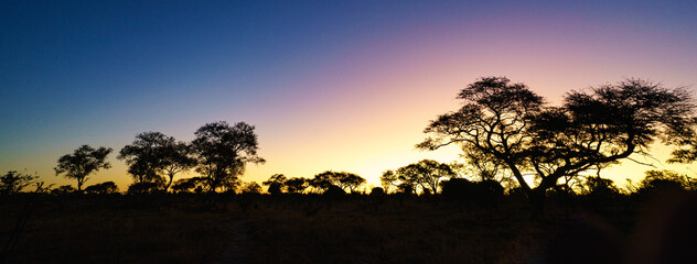 Fototapeta na wymiar Botswana. Sunset in the bush 