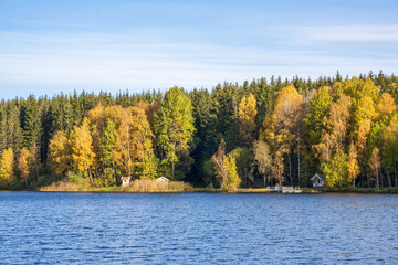 Cottages on the lakeshore by a autumn forest