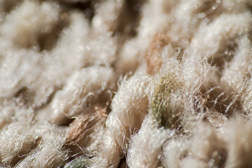 Macro close up of plastic carpet fibers or microfibers