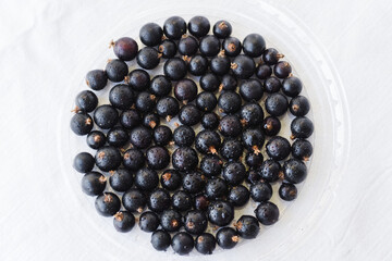 Black berries on white with water drops. Blackcurrants in a transparent bowl isolated on a white background top view. Currant organic berries harvest - healthy eating and food concept