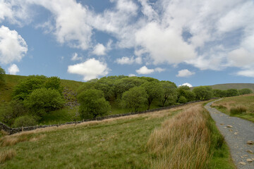 Scenery in Ribblesdale near Winterscale Beck in Yorkshire Dales