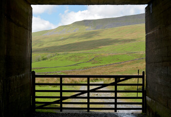 Scenery in Ribblesdale near Winterscale Beck in Yorkshire Dales